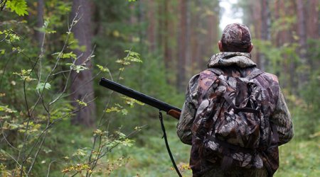 Azərbaycan ov mövsümünü qadağan edilib