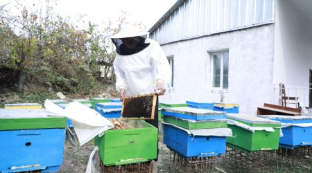 İşğaldan azad olunmuş ərazilərdə 633 nəfər özünüməşğulluq proqramı ilə kiçik biznes qurub