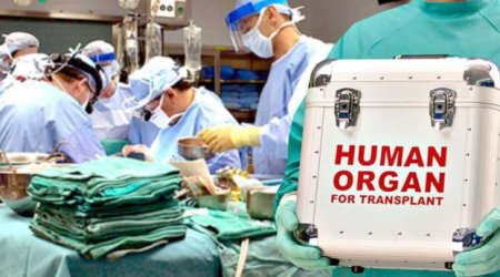 Baş nazir Bona Dea ilə bağlı qərar imzalayıb