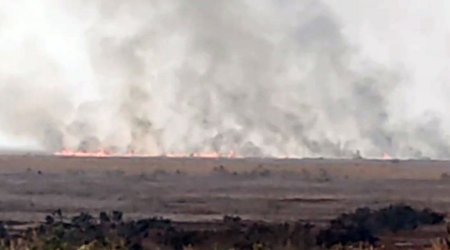 Cəlilabadda ovçuluq təsərrüfatında yanğın olub