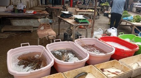 AQTA bu rayonların ərzaq bazarlarında monitorinq keçirib