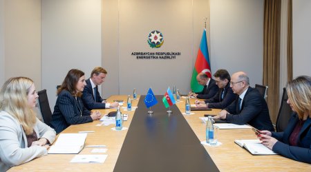 Energy minister meets head of EU Delegation to discuss cooperation prospects