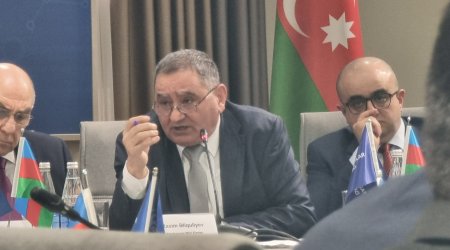 Elmin populyarlaşdırılması üçün yeni platformalar və təşviqat tələb olunur - Etibar Əliyev