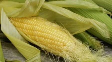 Azərbaycana qarğıdalı idxalında 44% azalma var