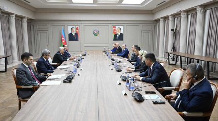 Əsədov Türk Dövlətləri Təşkilatı nazirləri ilə əmək və sosial müdafiə əməkdaşlığını müzakirə edib