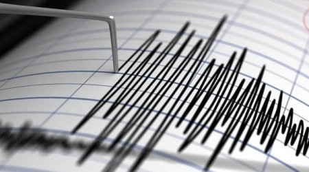 В США произошло мощное землетрясение