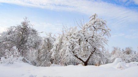 Bəzi rayonlara qar yağıb - Faktiki hava