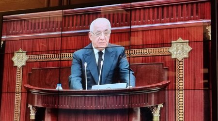 Parlamentdə qaldırılan məsələlər büdcə imkanları çərçivəsində həll ediləcək - Əli Əsədov