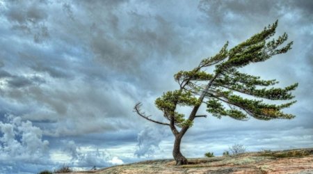 Küləkli hava ilə bağlı sarı və narıncı xəbərdarlıq edilib