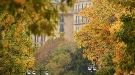 Sabahın hava proqnozu açıqlanıb