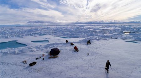 NOAA: Температура воздуха в Арктике достигла рекордных показателей