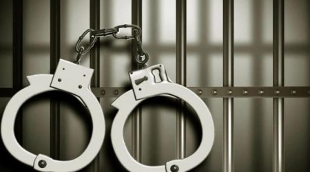 Bir gündə 30 cinayətin üstü açılıb - DİN