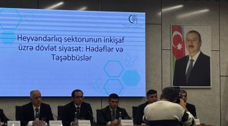 Azərbaycanın yumurta ixracı 11 ayda 35%-ə yaxın artıb &ndash; nazir