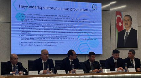 Zaur Əliyev : Azərbaycanda heyvandarlıq sektorunda sistemli problemlər qalıb