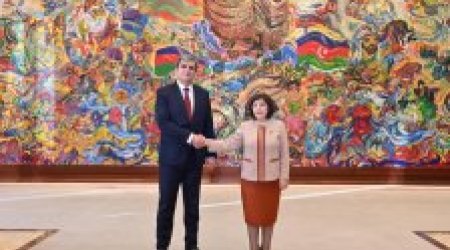 Sahibə Qafarova Monteneqro Baş nazirinin müavini ilə görüşüb