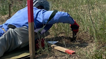 ANAMA: На минувшей неделе от мин очищена территория площадью более 1200 га