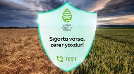 Qax və Zaqatala fermerlərinə 22 min manatlıq sığorta ödənişi verilib