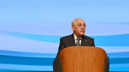 Али Асадов призвал турецкие компании активнее инвестировать в Азербайджан