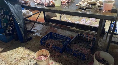 Xırdalanda 2 min ev quşunun qanunsuz kəsildiyi sexin fəaliyyəti məhdudlaşdırılıb