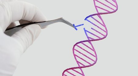 İnsanın klonu patent obyekt kimi qəbul edilməyəcək