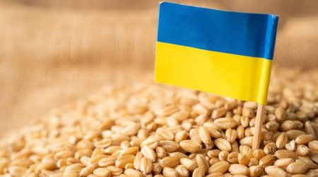 Молдова снимет ограничения на импорт зерна из Украины