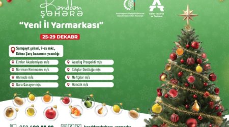 В Баку и Сумгайыте с завтрашнего дня откроются новогодние ярмарки