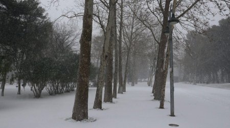 Sabahın hava proqnozu açıqlanıb