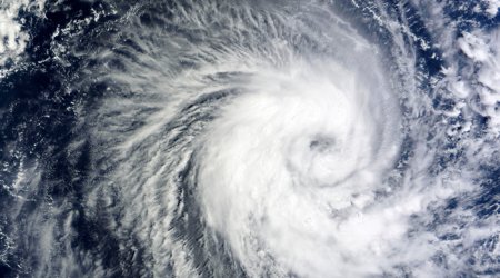 В Швеции во время урагана погибли два человека