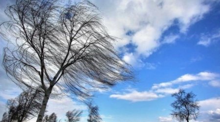 Bakıda və bölgələrdə külək güclənəcək - XƏBƏRDARLIQ