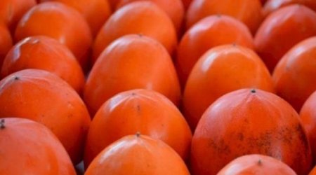On bir ayda ən çox xurma ixrac olunub - Rəsmi