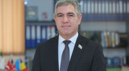 Deputat: Bu il ölkədə sosial müdafiə tədbirləri gücləndirilib
