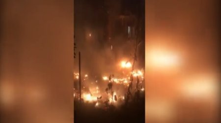 Bakıda ağaclıq sahədə yanğın baş verib - Video