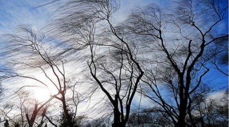 Синоптики предупреждают: ветер в Азербайджане усилится и сохранится несколько дней, ожидаются осадки - Обновлено