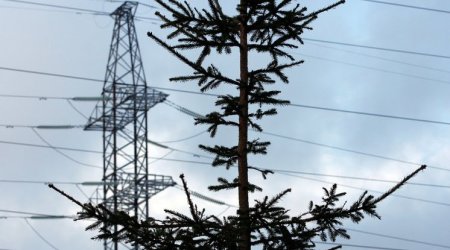 В Краснодарском крае РФ десятки тысяч жителей остались без света