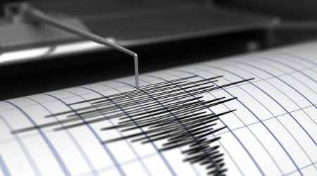 У побережья Мексики произошло землетрясение магнитудой 6,5