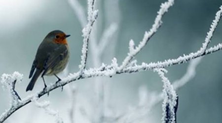 Завтра в ряде районов Азербайджана ожидается до 10&deg; мороза и гололед