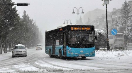 Avropada qar örtüyü son 20 ilin ən yüksək göstəricilərindən birinə çatıb