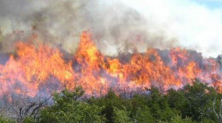 Cəbrayıl və Füzulidəki yanğınlar söndürülüb