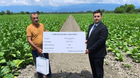 Ötən il fermerlərə nə qədər sığorta ödənişi edilib? - Rəsmi