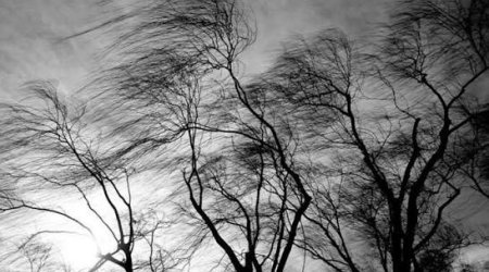 Növbəti iki gün ərzində güclü külək əsəcək - XƏBƏRDARLIQ