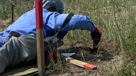 Bir həftədə 6 tank əlehinə mina aşkarlanıb - ANAMA