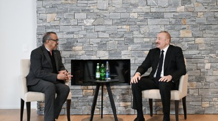 В Давосе Ильхам Алиев встретился с генеральным директором Всемирной организации здравоохранения