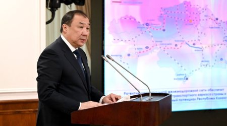 Казахстан ждет от Азербайджана и России данных по самолету AZAL