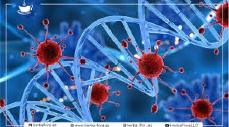 Azərbaycanda onkoloji yardım özəl tibb müəssisələrində də göstəriləcək