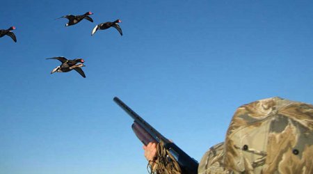 
Qaradağda qanunsuz ov edən şəxslər saxlanılıb