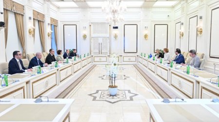 Sahibə Qafarova NATO Baş katibinin müavini ilə görüşdü