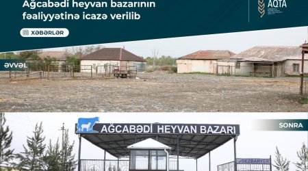 Ağcabədi heyvan bazarının fəaliyyətinə icazə verilib