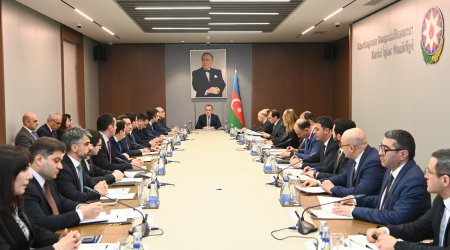 В МИД Азербайджана прошло расширенное заседание коллегии
