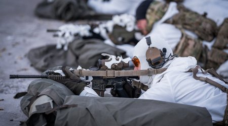 НАТО растягивает учения в Гренландии на год