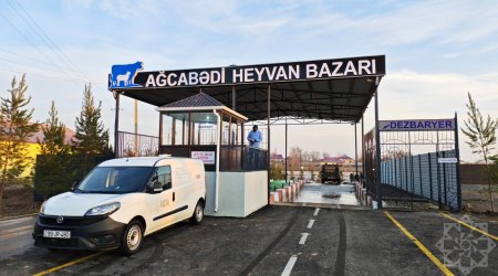 Ağcabədidə heyvan satışı bazarı fəaliyyətə başlayıb